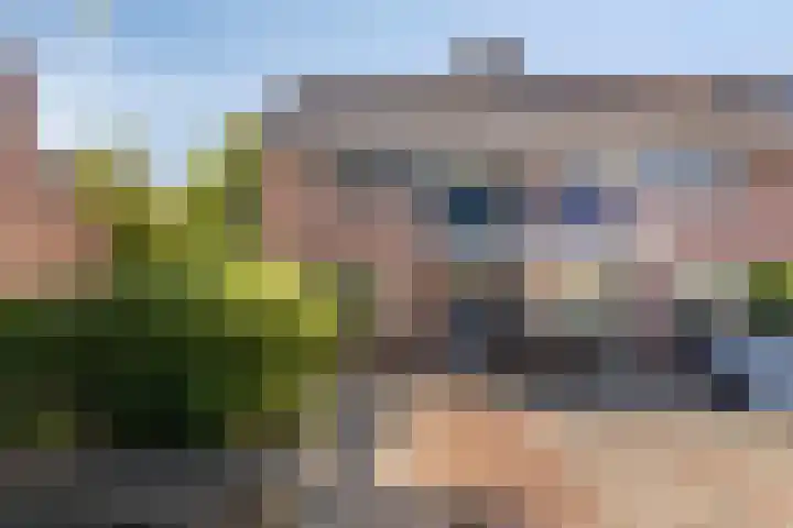 Winkelwaard 456 Alkmaar thumbnail 5