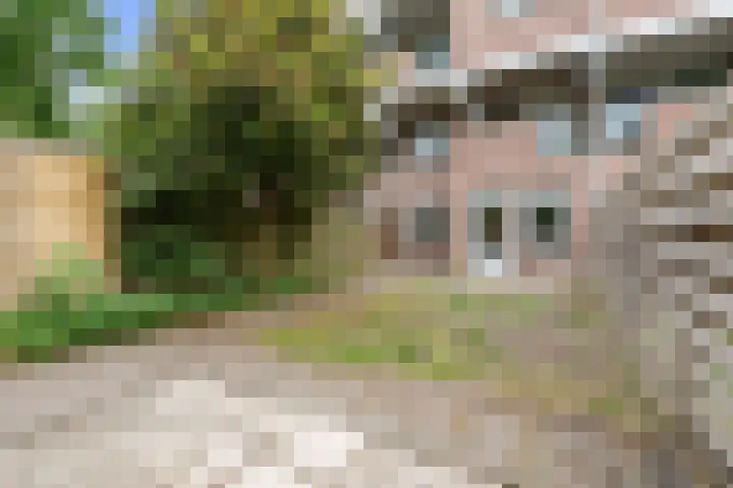 Winkelwaard 48 in Alkmaar