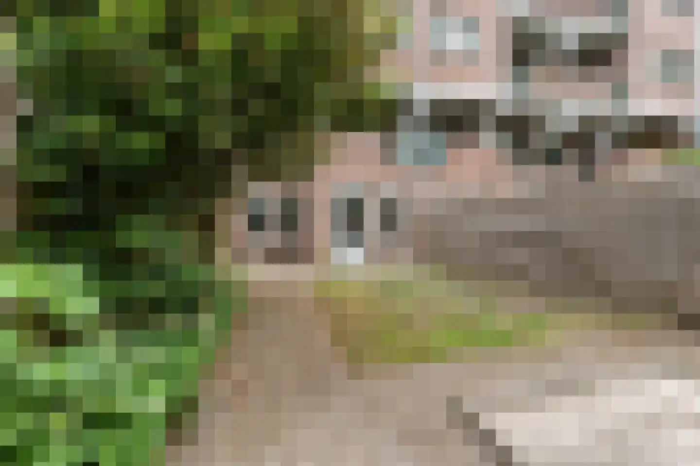 Winkelwaard 48 Alkmaar thumbnail 26
