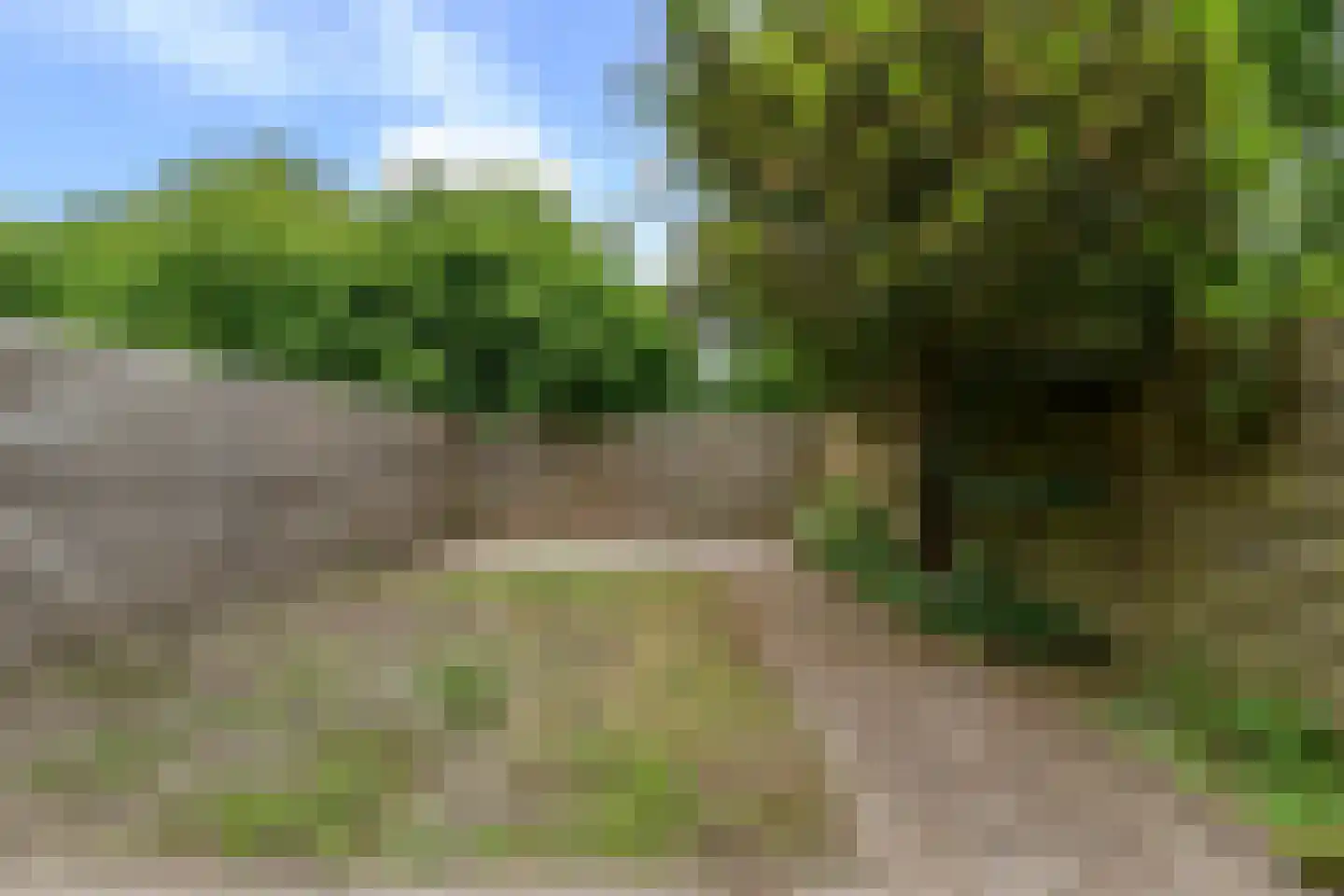 Winkelwaard 48 Alkmaar thumbnail 27