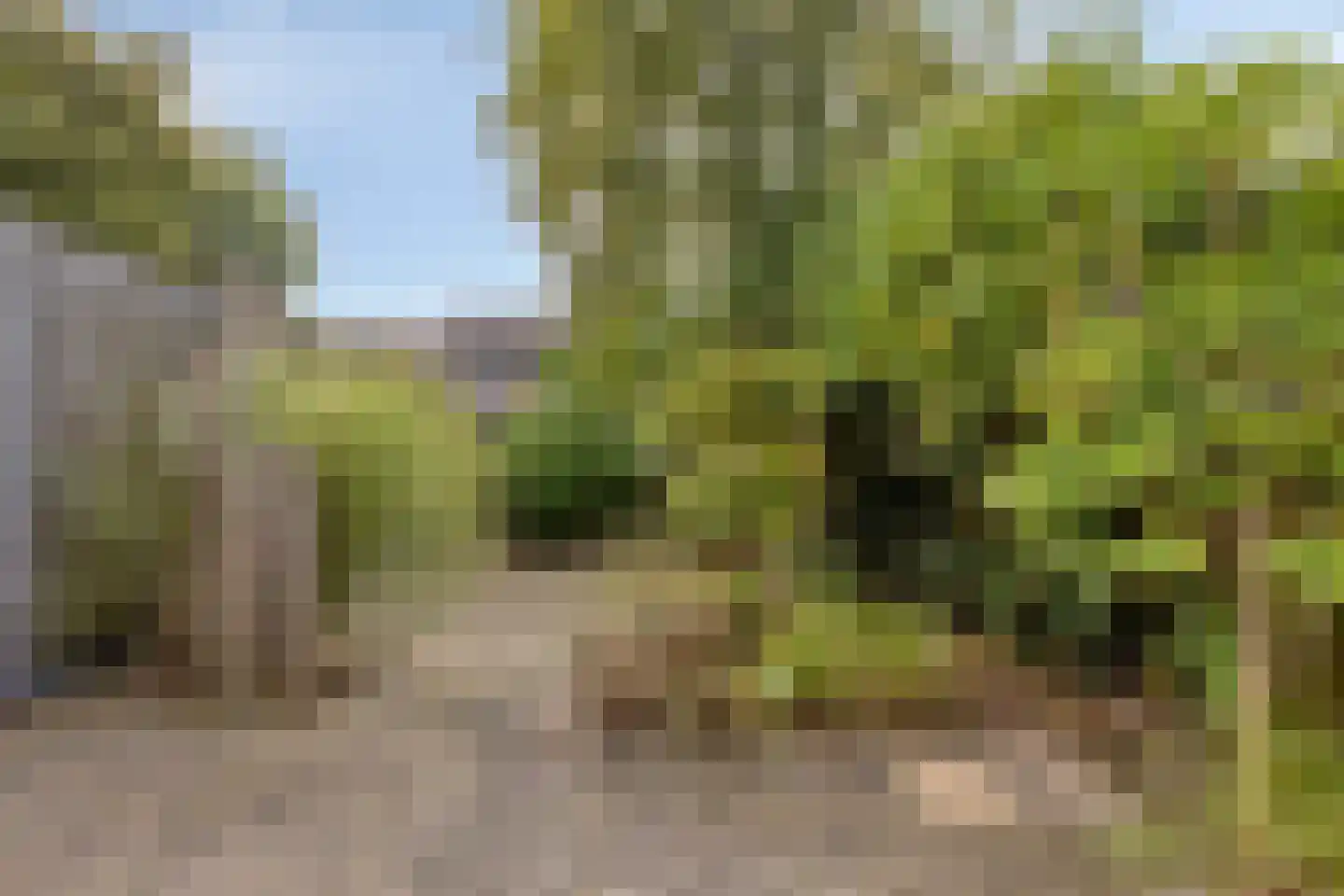Winkelwaard 503 Alkmaar thumbnail 27