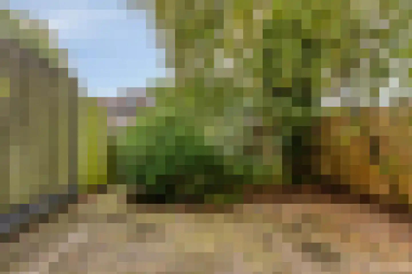 Winkelwaard 503 Alkmaar thumbnail 28