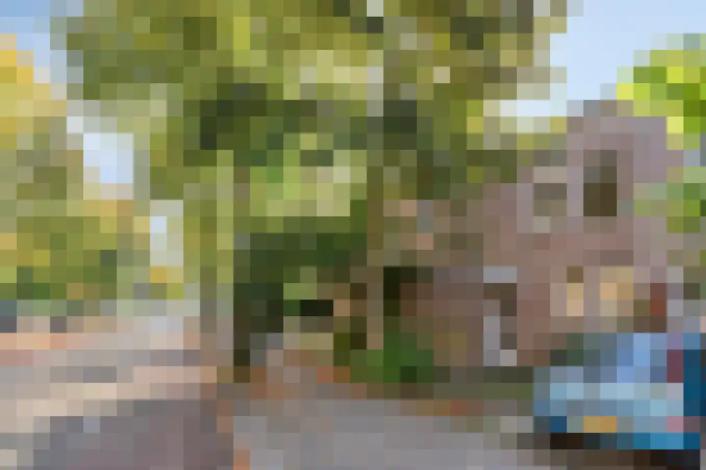 Winkelwaard 503 Alkmaar thumbnail 29