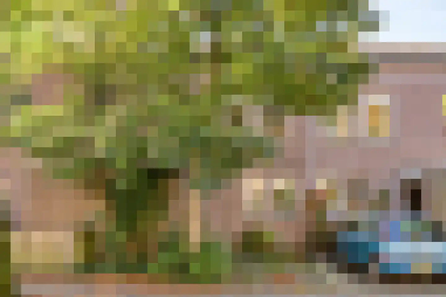 Winkelwaard 503 Alkmaar thumbnail 30