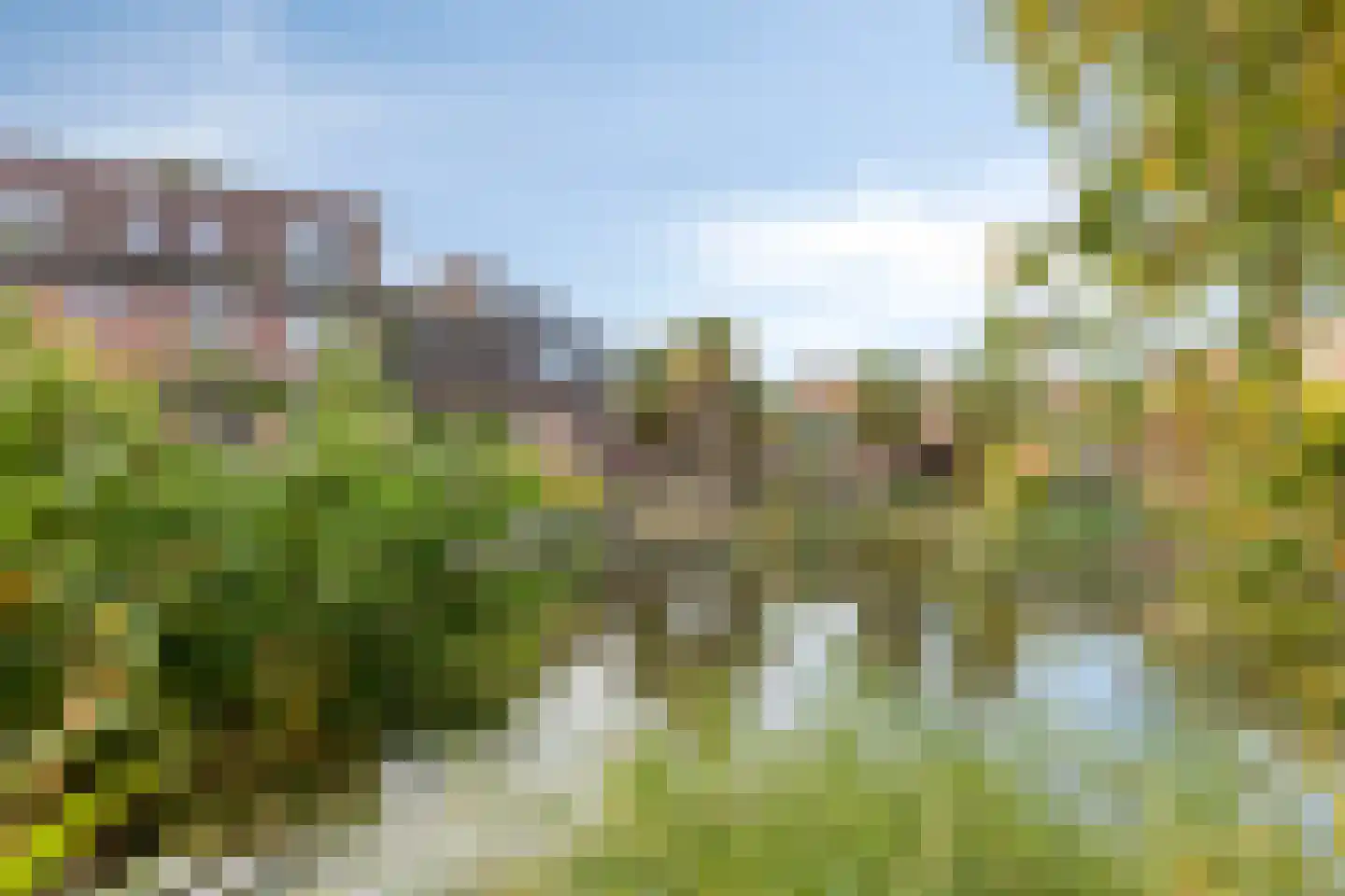 Winkelwaard 503 Alkmaar thumbnail 6
