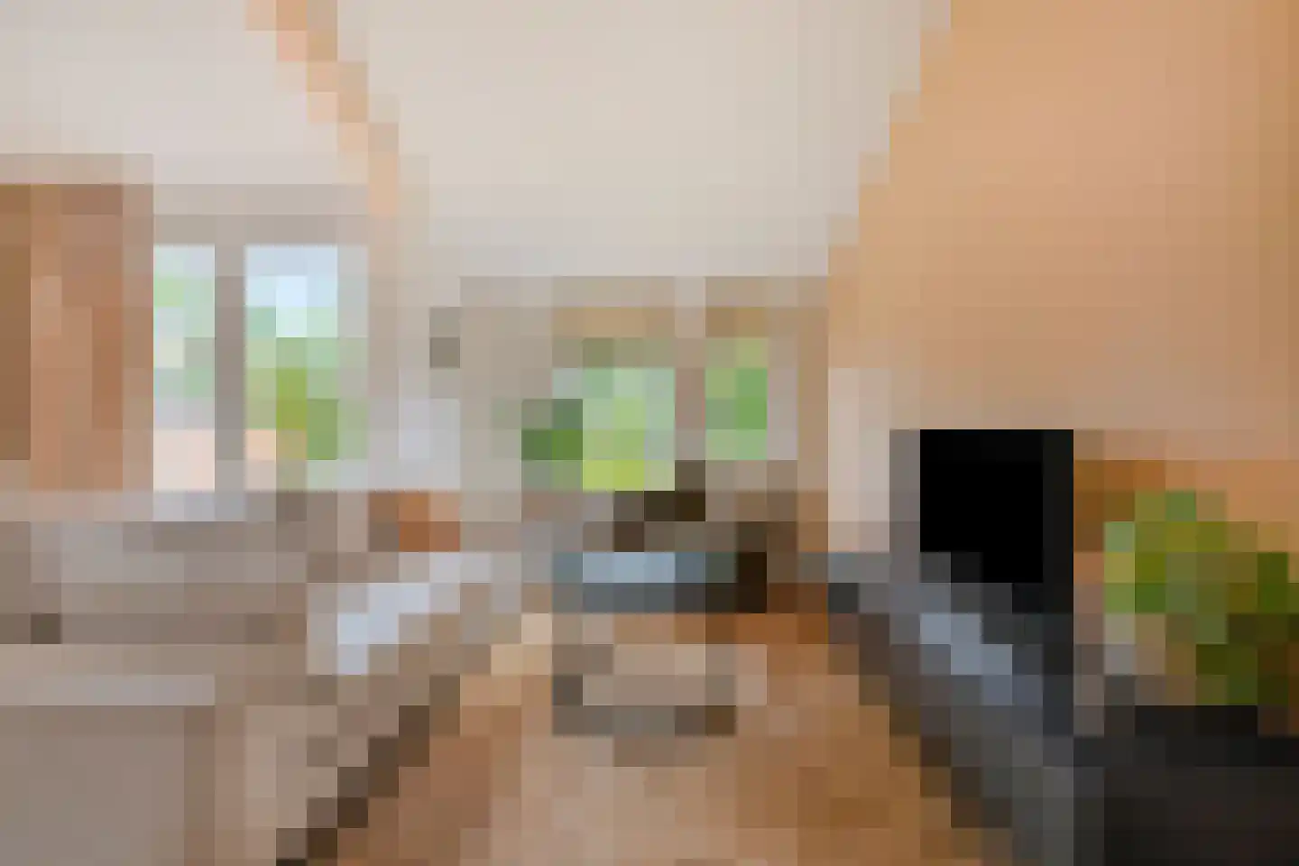 Winkelwaard 508 Alkmaar thumbnail 17