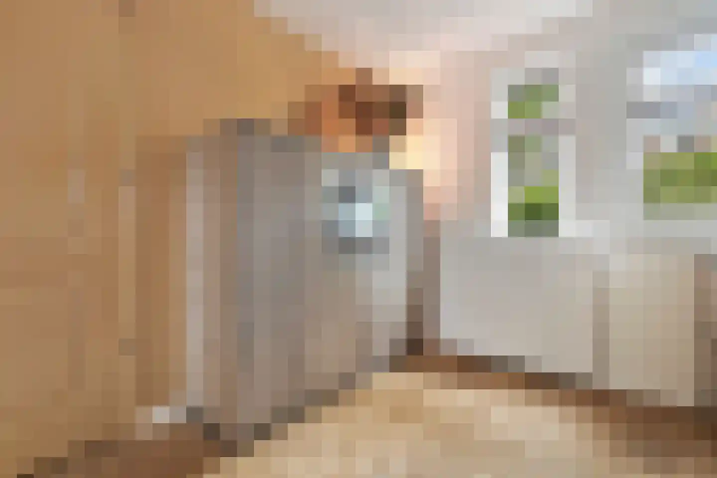 Winkelwaard 508 Alkmaar thumbnail 30