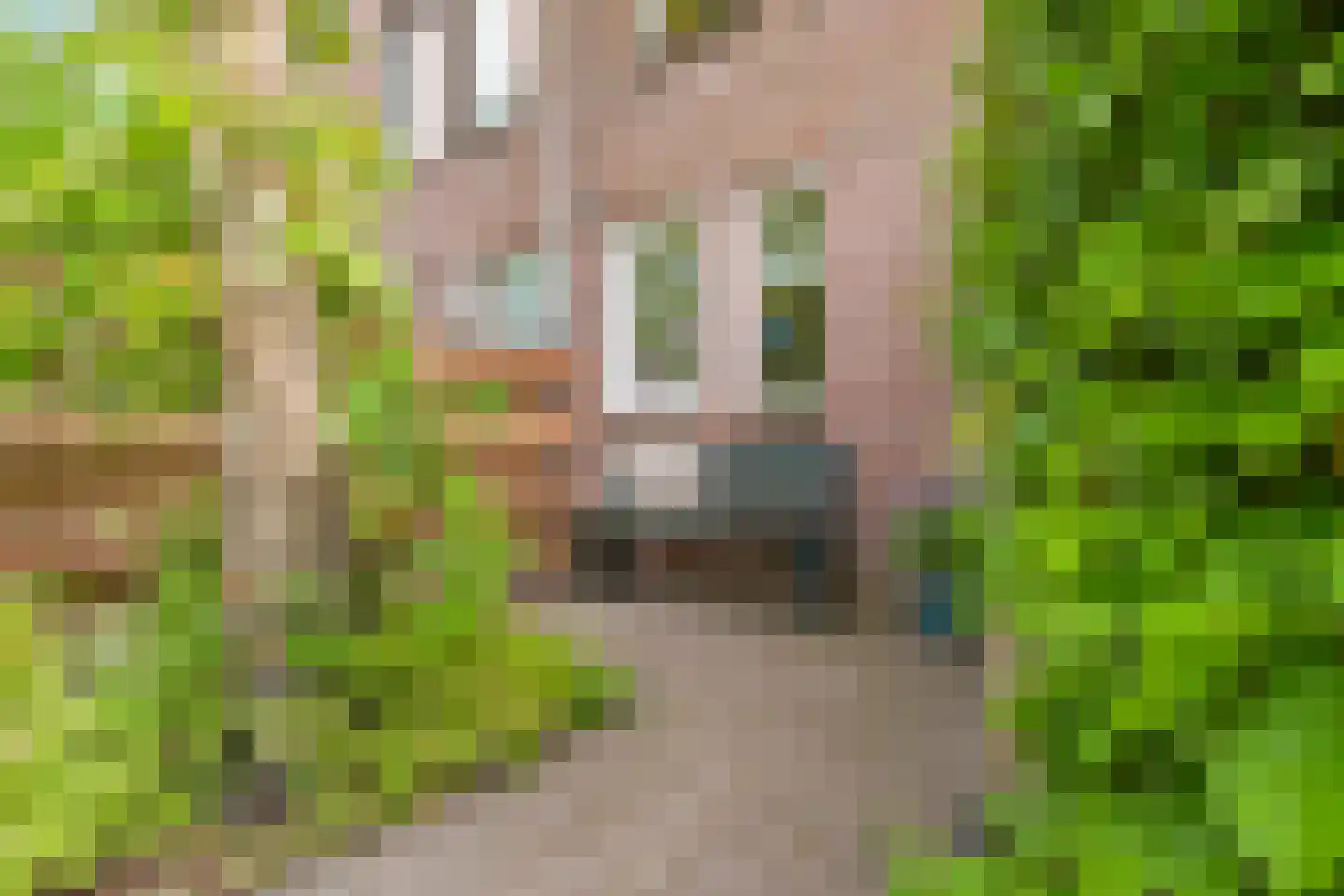 Winkelwaard 508 Alkmaar thumbnail 7