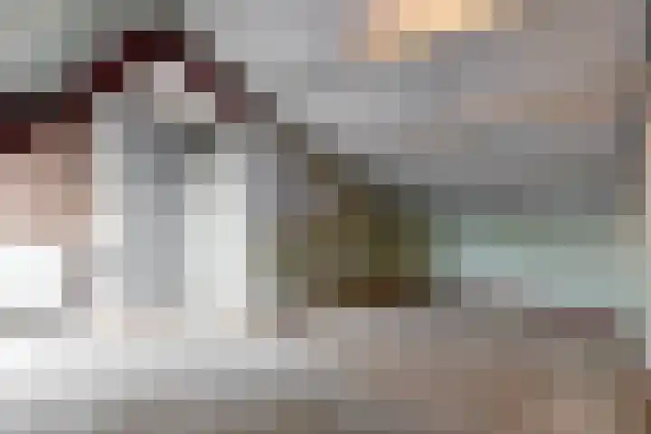Winkelwaard 53 Alkmaar thumbnail 23