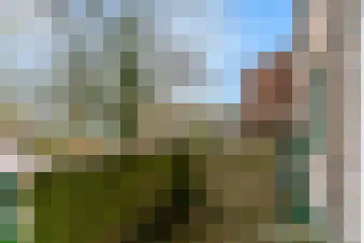 Winkelwaard 53 Alkmaar thumbnail 25
