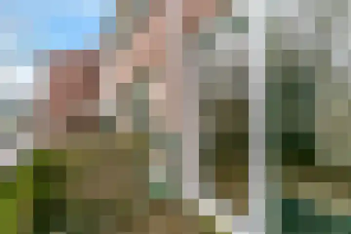 Winkelwaard 53 Alkmaar thumbnail 26