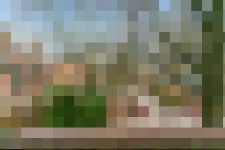 Winkelwaard 53 Alkmaar thumbnail 27