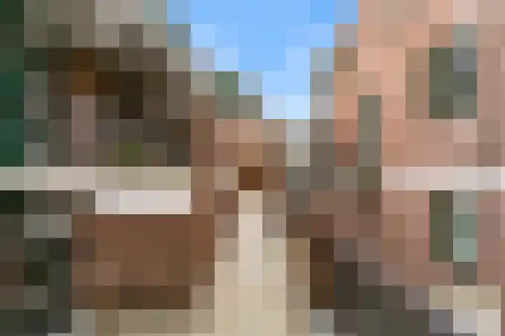 Winkelwaard 53 Alkmaar thumbnail 32