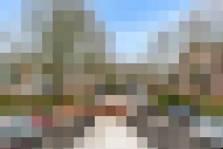 Winkelwaard 53 Alkmaar thumbnail 39