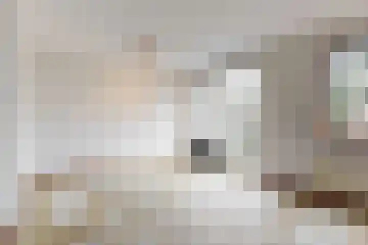 Winkelwaard 53 Alkmaar thumbnail 8