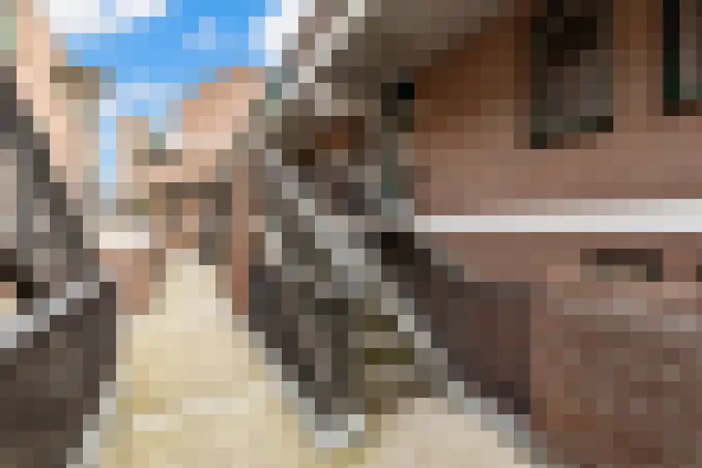 Winkelwaard 54 Alkmaar thumbnail 19
