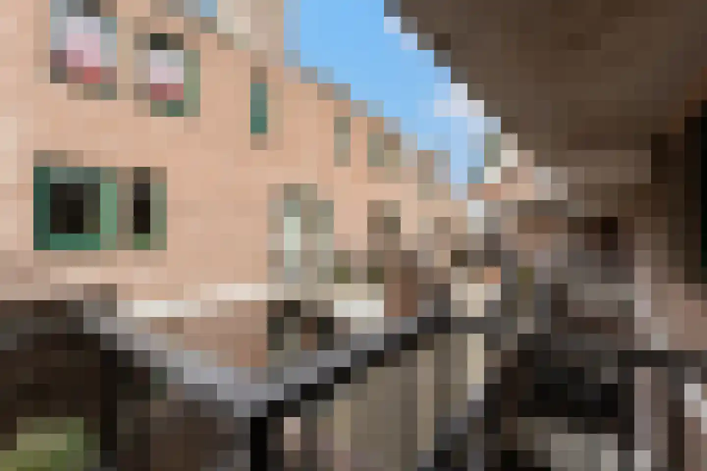 Winkelwaard 54 Alkmaar thumbnail 20