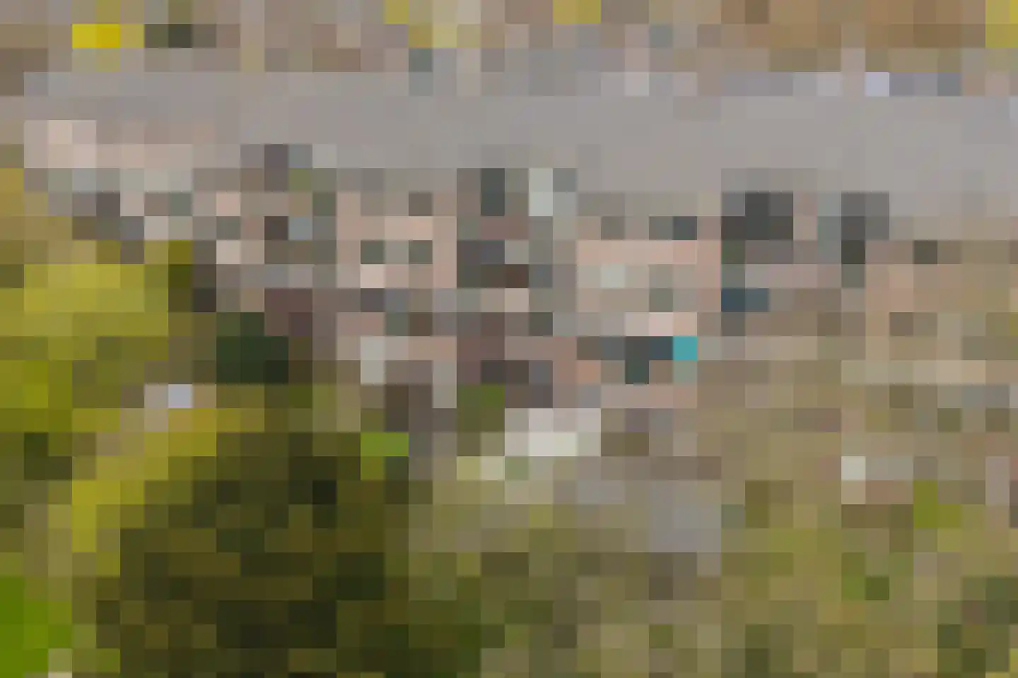 Winkelwaard 54 Alkmaar thumbnail 22