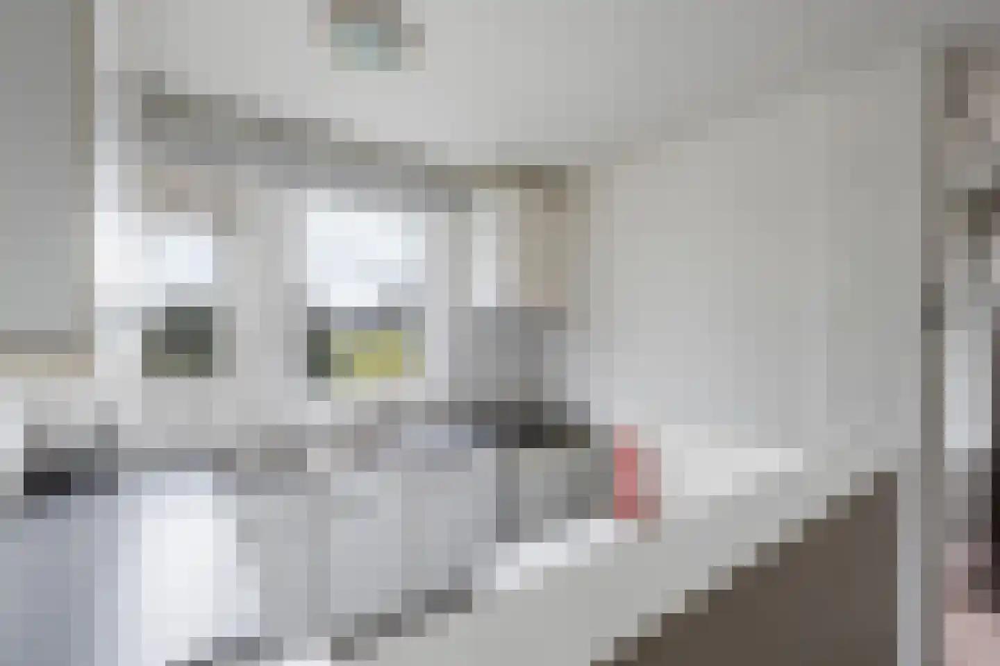 Winkelwaard 54 Alkmaar thumbnail 9