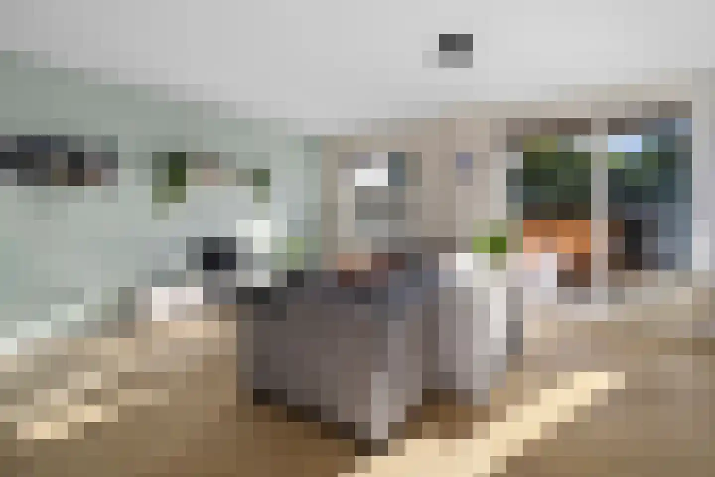 Winkelwaard 57 Alkmaar thumbnail 17