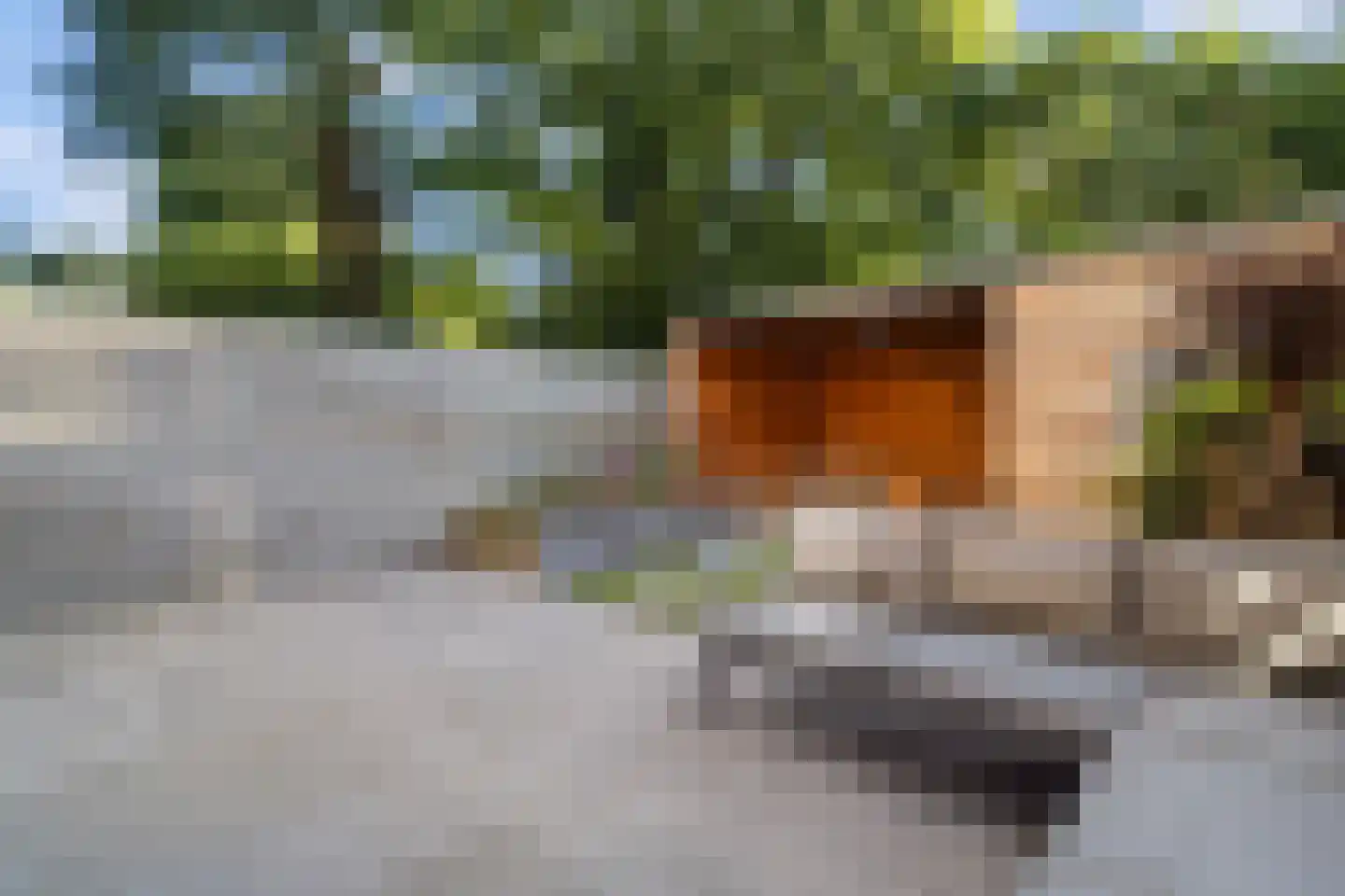 Winkelwaard 57 Alkmaar thumbnail 34