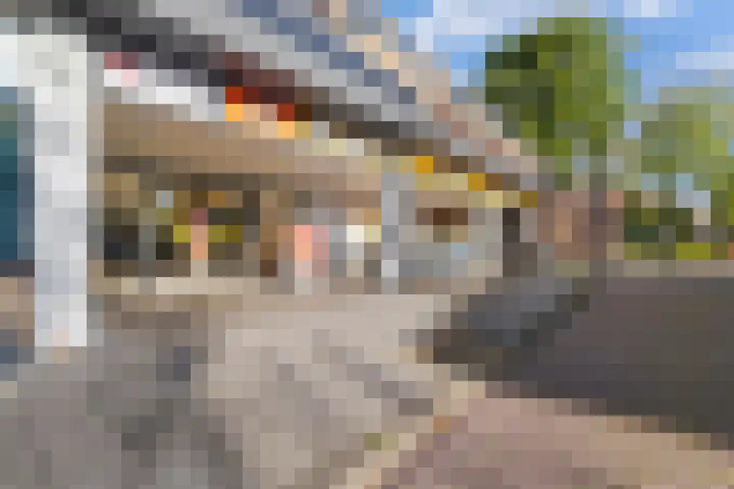 Winkelwaard 57 Alkmaar thumbnail 38