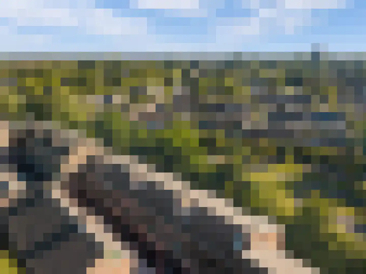 Winkelwaard 57 Alkmaar thumbnail 41
