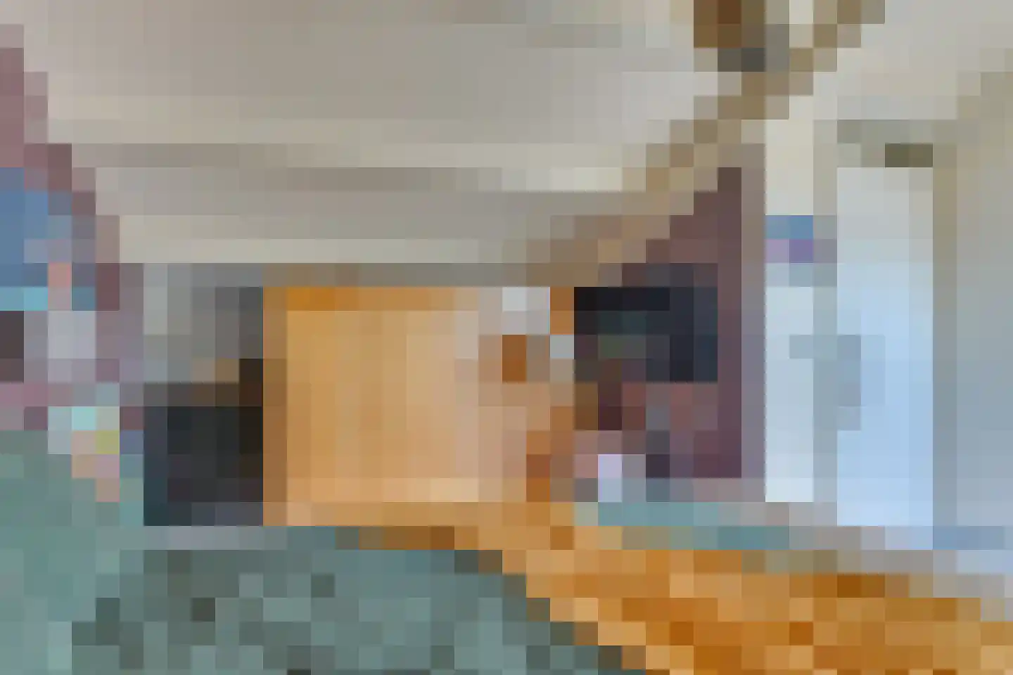 Winkelwaard 6 Alkmaar thumbnail 32
