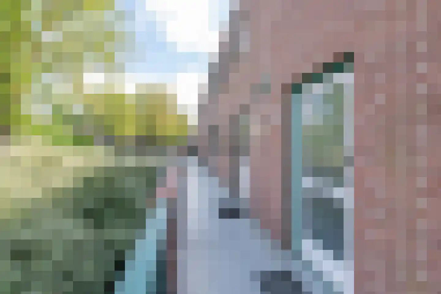 Winkelwaard 6 Alkmaar thumbnail 5