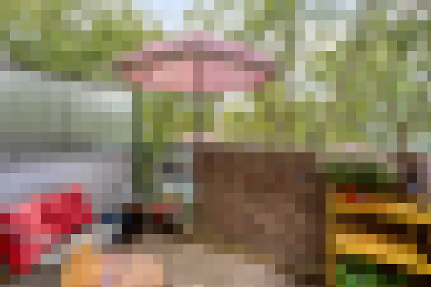 Winkelwaard 61 Alkmaar thumbnail 17