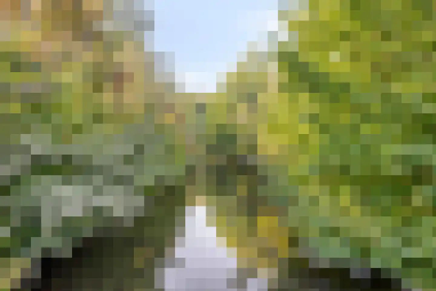 Winkelwaard 61 Alkmaar thumbnail 31