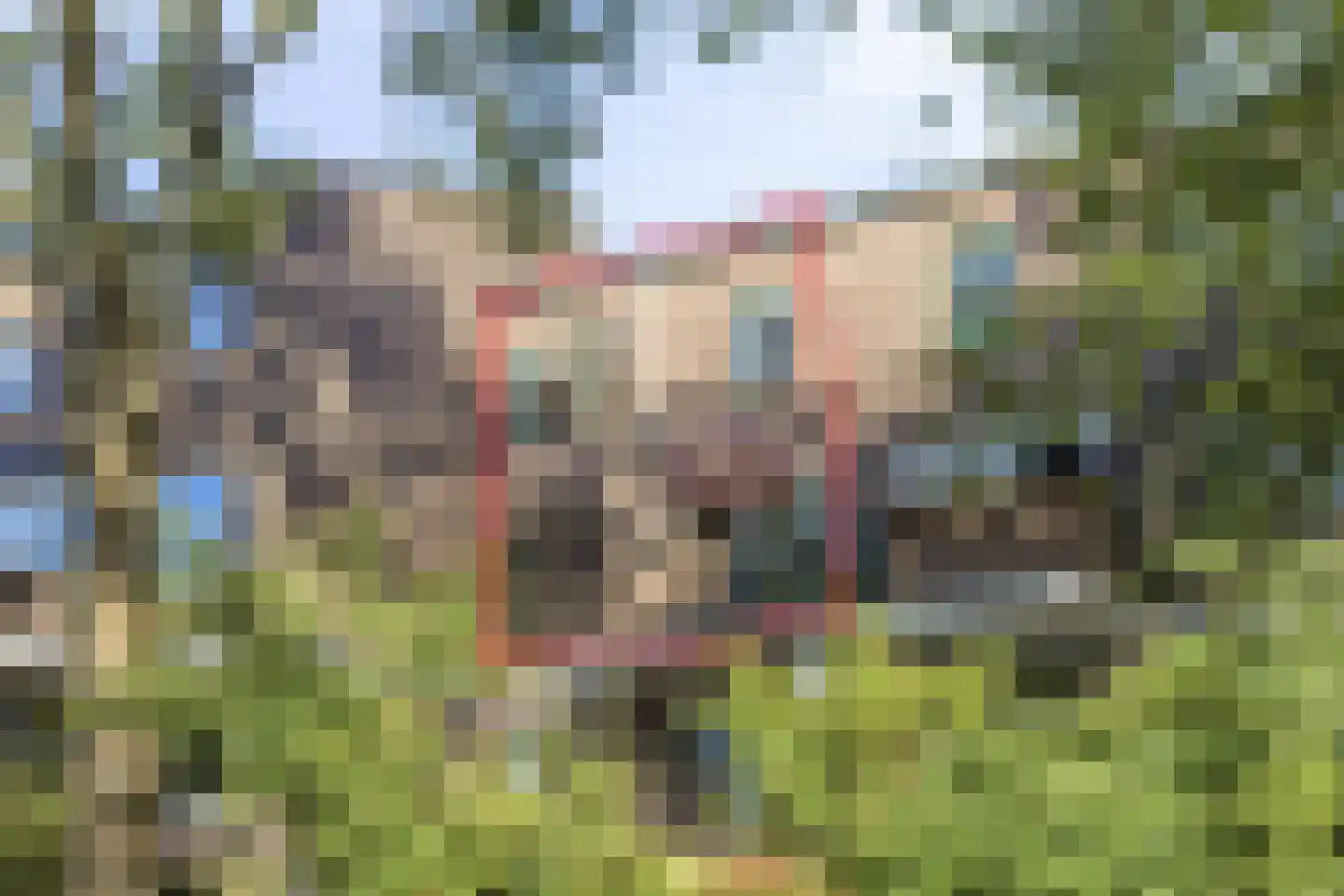 Winkelwaard 61 Alkmaar thumbnail 5