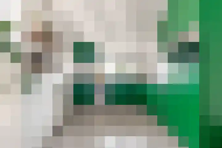 Winkelwaard 68 Alkmaar thumbnail 13