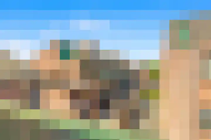 Winkelwaard 68 Alkmaar thumbnail 31