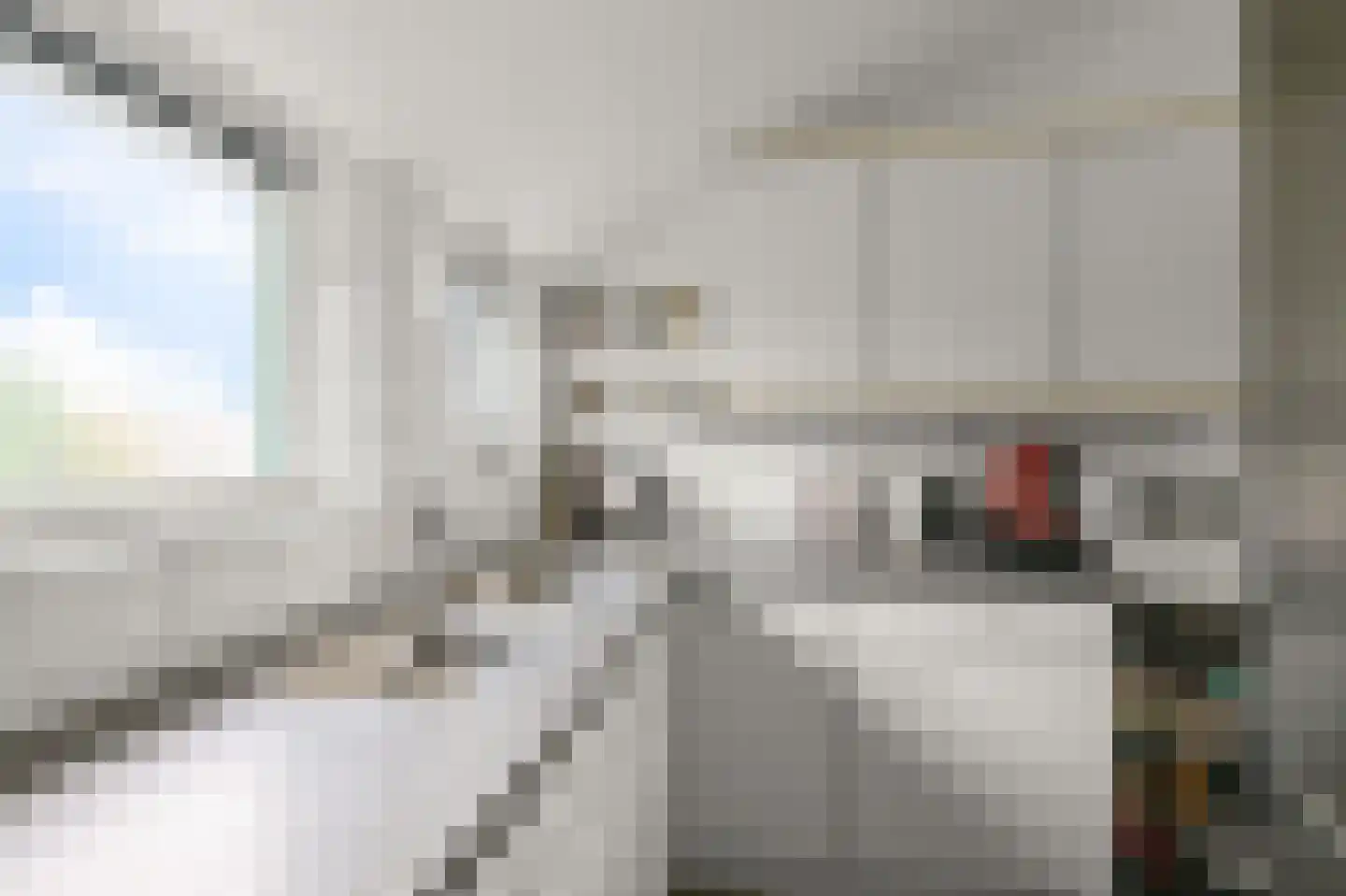 Winkelwaard 70 Alkmaar thumbnail 8