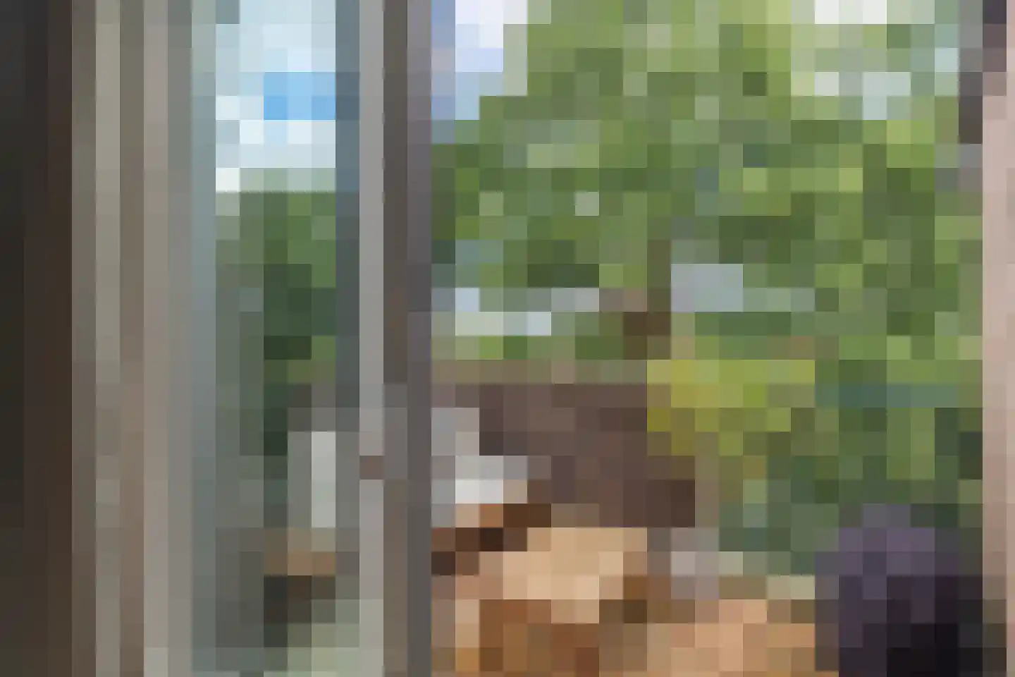 Winkelwaard 72 Alkmaar thumbnail 11