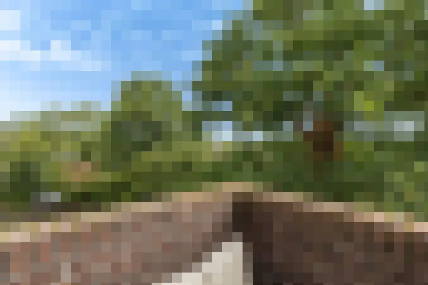 Winkelwaard 72 Alkmaar thumbnail 12