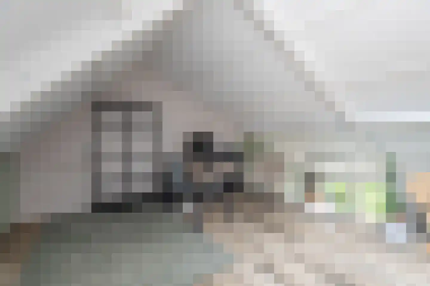 Winkelwaard 72 Alkmaar thumbnail 14