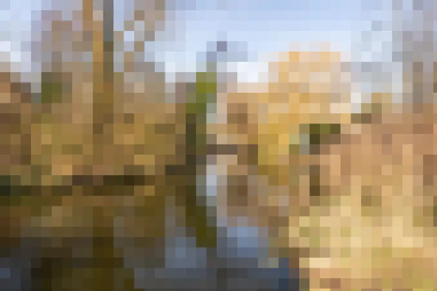 Winkelwaard 72 Alkmaar thumbnail 30