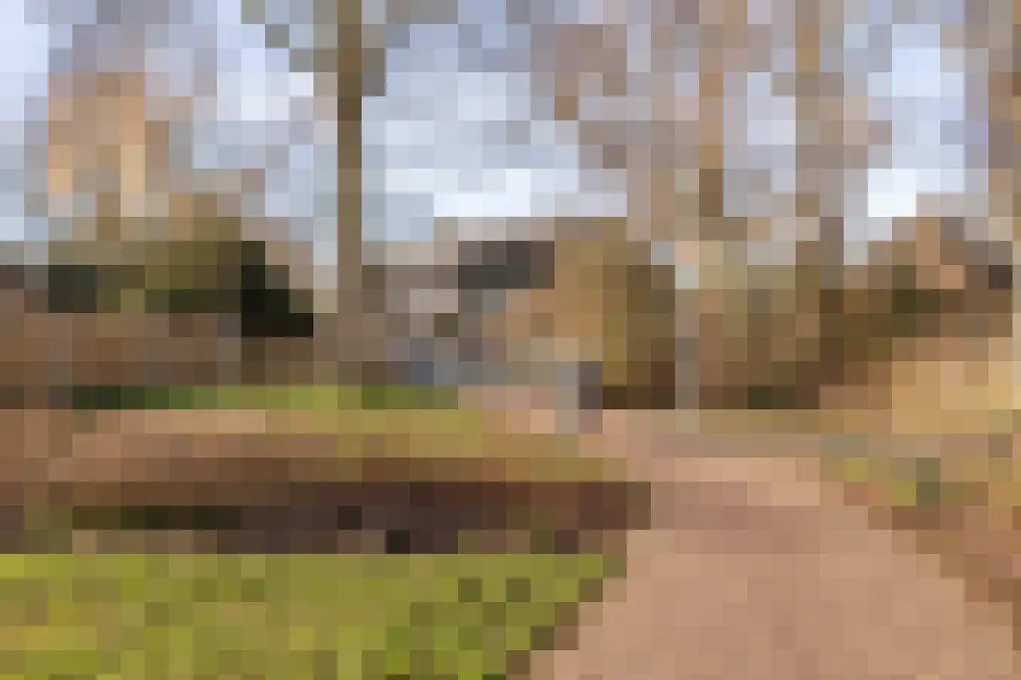 Winkelwaard 72 Alkmaar thumbnail 31