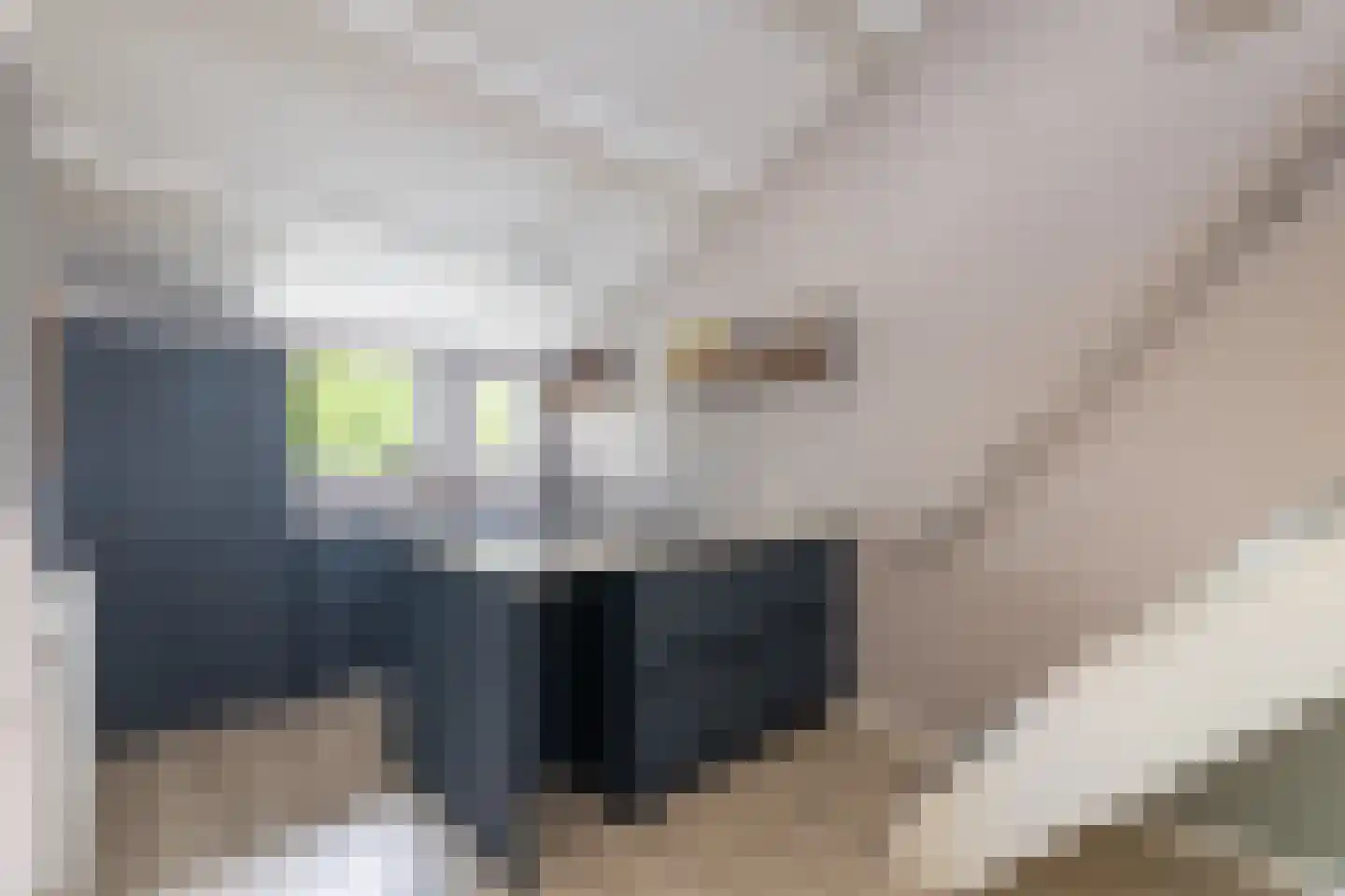 Winkelwaard 72 Alkmaar thumbnail 7