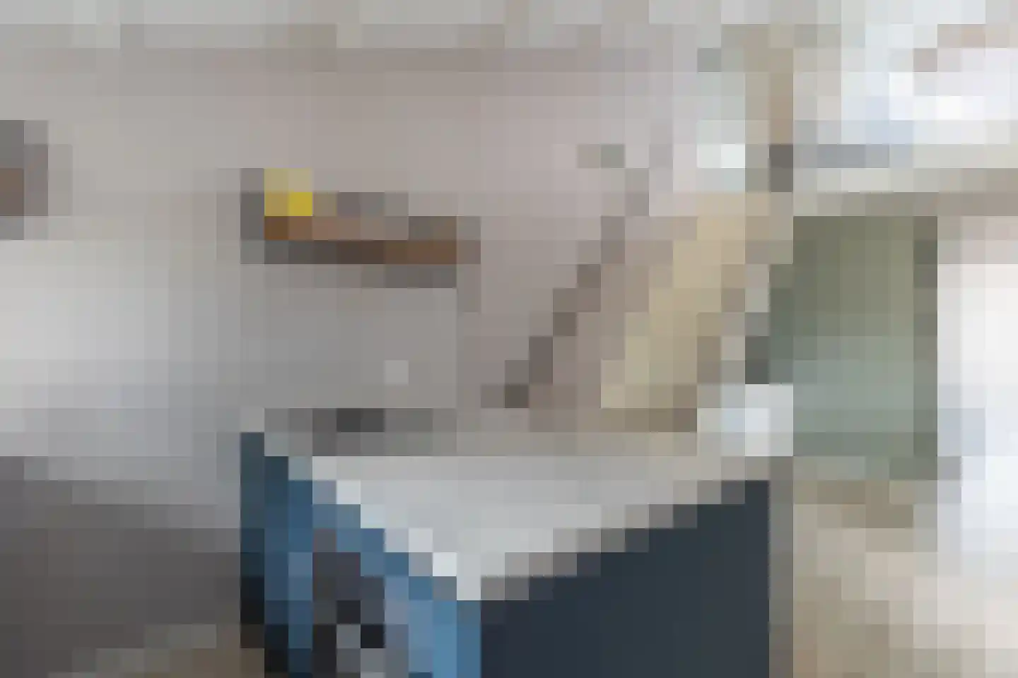 Winkelwaard 72 Alkmaar thumbnail 8