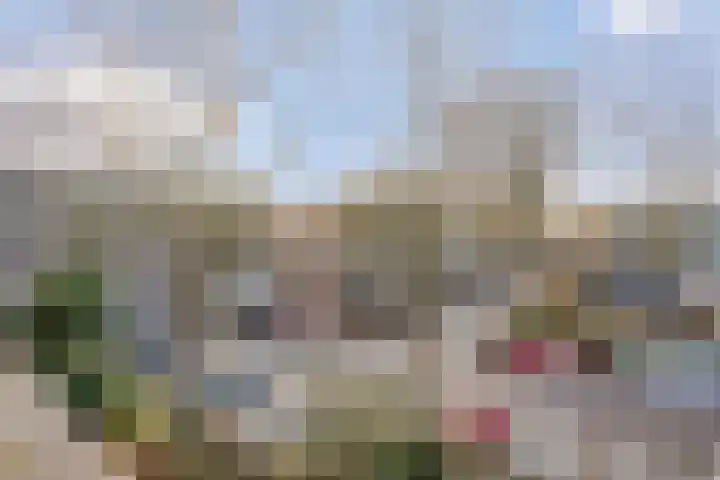 Winkelwaard 75 Alkmaar thumbnail 26