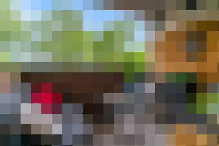Winkelwaard 77 Alkmaar thumbnail 16