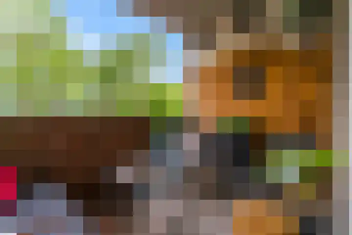 Winkelwaard 77 Alkmaar thumbnail 17