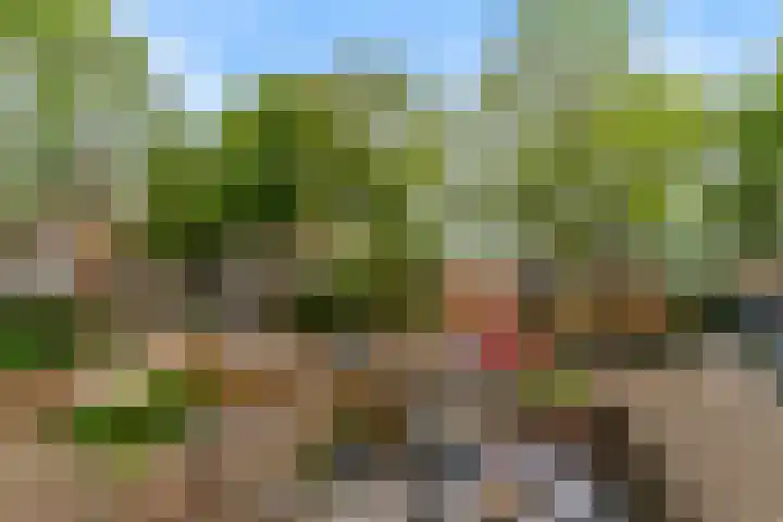 Winkelwaard 77 Alkmaar thumbnail 18