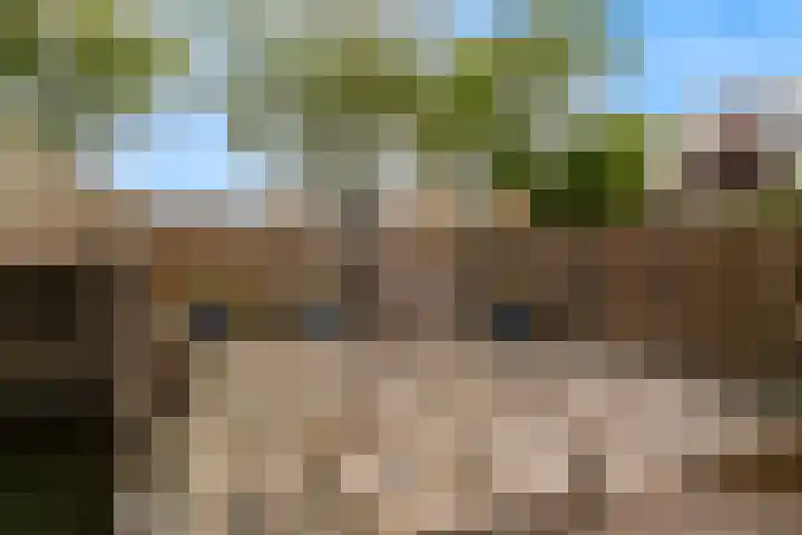 Winkelwaard 77 Alkmaar thumbnail 19