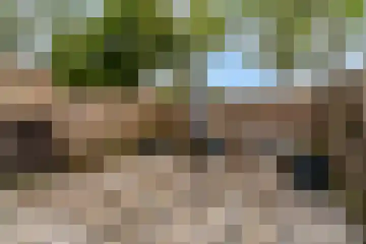 Winkelwaard 77 Alkmaar thumbnail 20