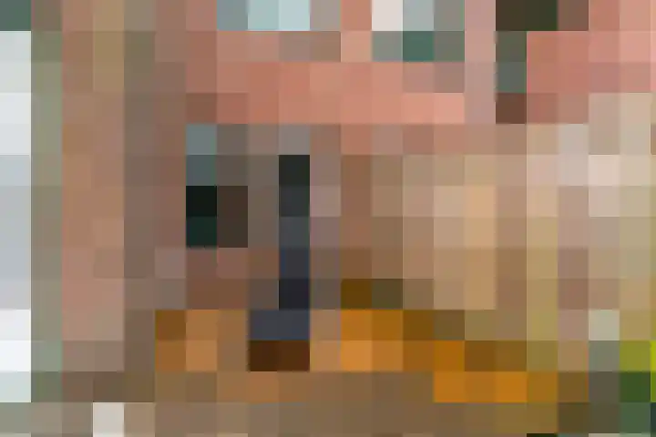 Winkelwaard 77 Alkmaar thumbnail 23