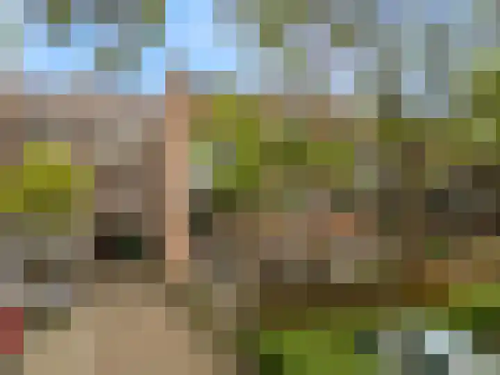Winkelwaard 77 Alkmaar thumbnail 27